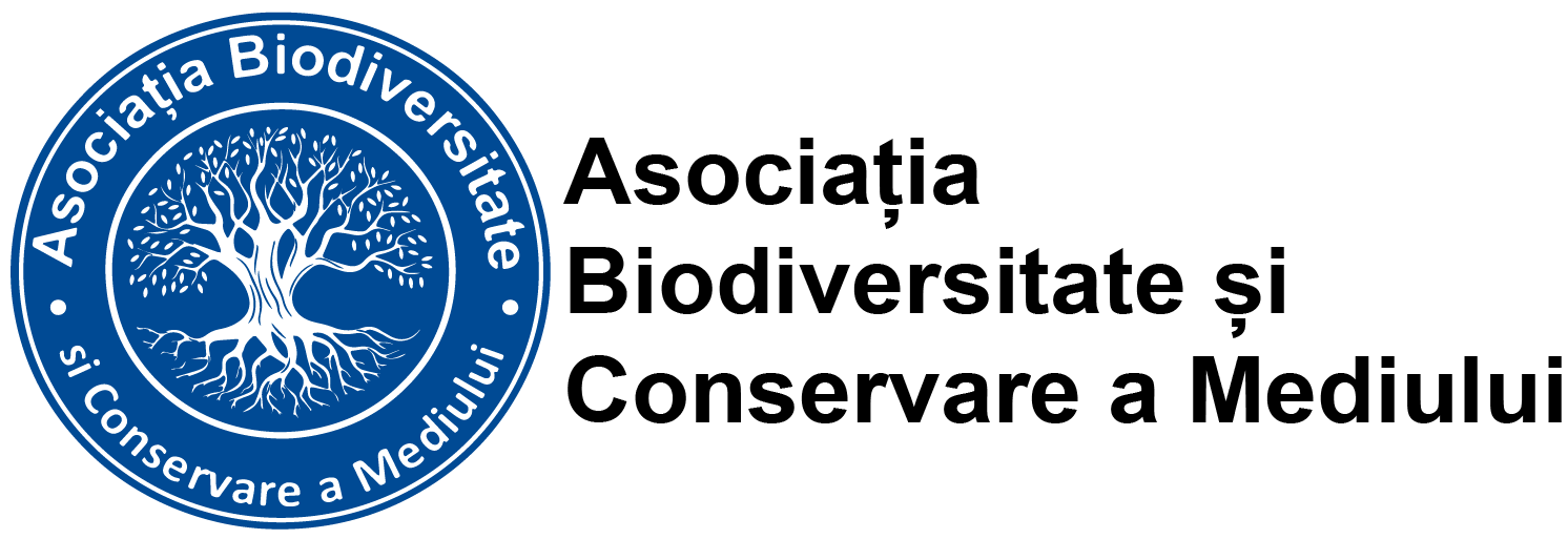 ABCM Logo