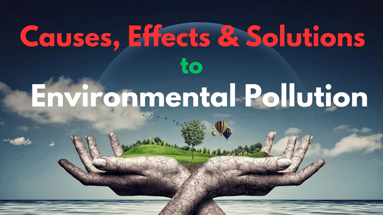 efectele poluarii ong asociatia biodiversitate si conservare a mediului