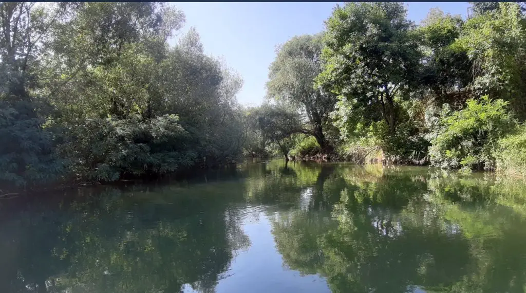 Restabilirea biodiversității